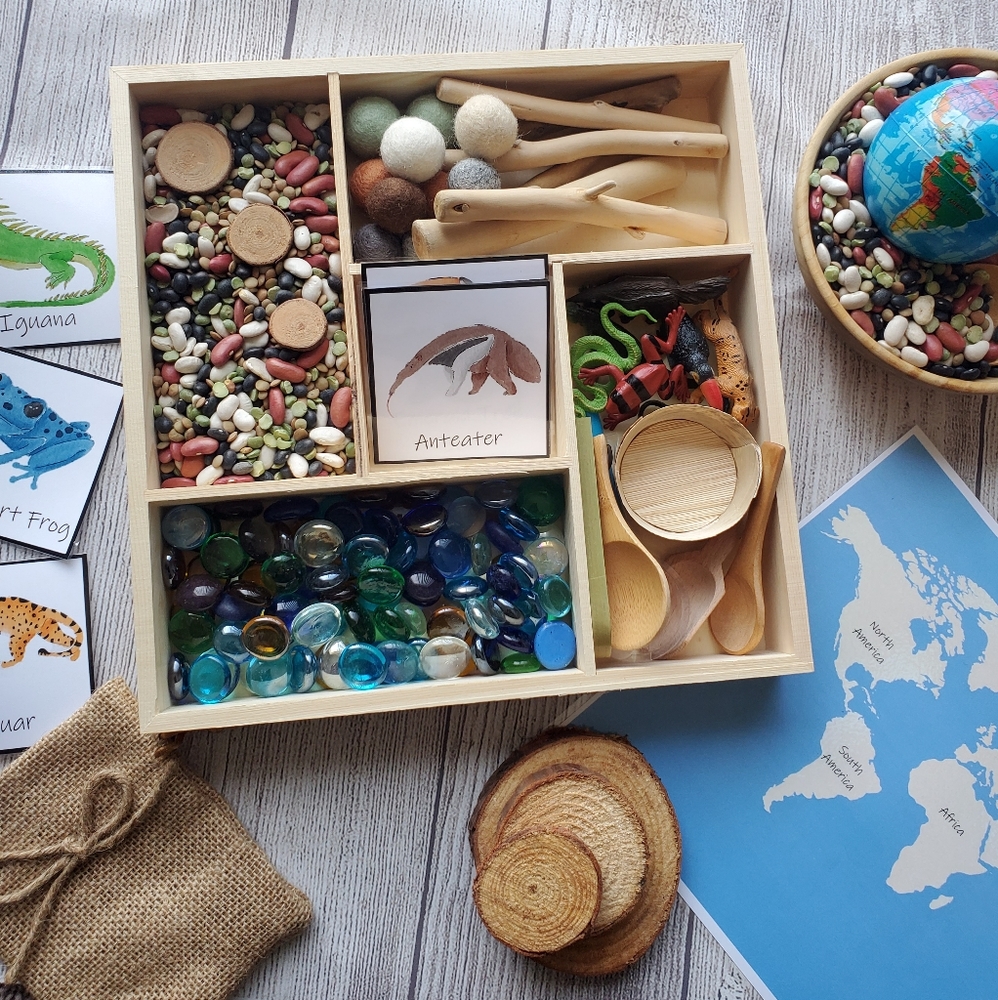 South America Montessori Tinker Tray Loose Parts Animals Toy Kids Children